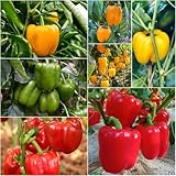 Estas semillas son un para los jardineros y entusiastas de la plantación.No ocupa mucho espacio y se puede colocar en el alféizar de la ventana, en la cocina o al aire libre.