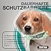 ZENITHIA Zeckenhalsband für Hunde - Flohhalsband hundeFlohschutz Halsband für Hunde – Zeckenhalsband - 100% Natürlich - Schutzhalsband gegen Flöhe - 12 Monate Schutz – 65 cm verstellbar (2 Einheiten)