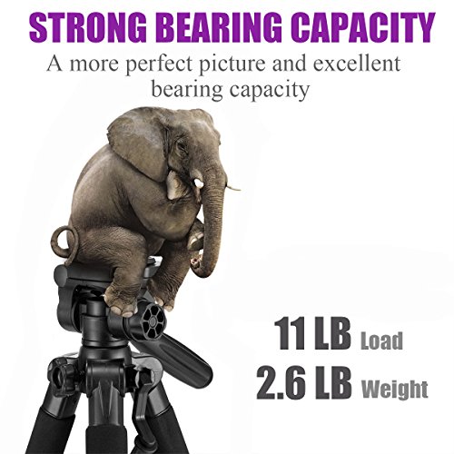 Image of MACTREM M-PT55-Bk PT55 Travel Camera Tripod Lightweight Aluminum for DSLR SLR Canon Nikon Sony Olympus DV with Carry Bag -11 Lbs(5Kg) Load (Gold)