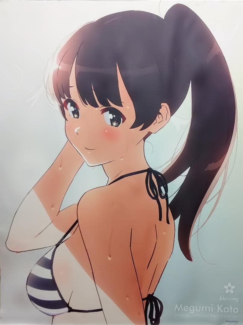 GOOD SMILE COMPANY - 冴えない彼女の育てかた♭ 加藤恵 水着ver. 等身大タペストリー 61Dt0sz+eUL._UF350,350_QL80_.jpg