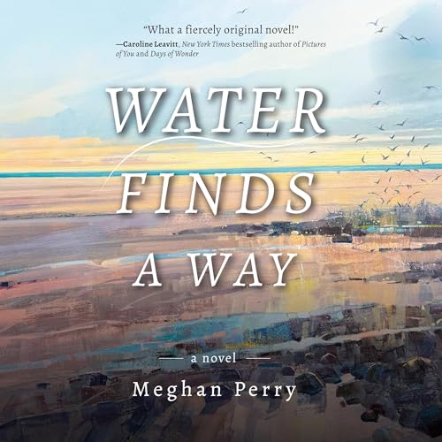 Water Finds a Way by Meghan Perry episode artwork