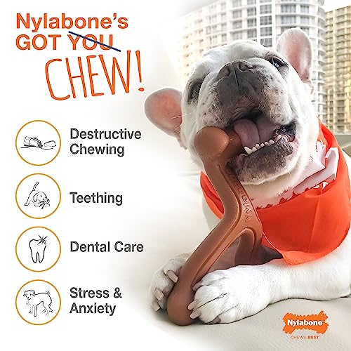 Nylabone Power Chew Flavor Frenzy Durable Dog Chew Toys Twin Pack Funnel Cake & Shish Kabob Large/Giant (2 Count) #TOP2