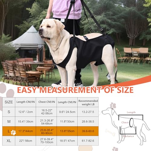 Hunde Tragehilfe, Tragbares Hundegeschirr, Verstellbare Hundehebegeschirr, Hundestützschlaufe, Hundetragegurt, Ganzkörperhebehilfe für Mittlere und Große Kranke Oder ältere Hunde (L)