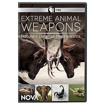 DVD Nova: Extreme Animal Weapons Book