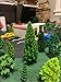 OrgMemory Mixed Model Trees, 70pcs, 1.5-6 inch(4-16 cm), Ho Scale Bushes with Animals Figures, Plastic Trees for Projects, Model Train Scenery