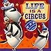Madagascar '3' Small Napkins (16ct)