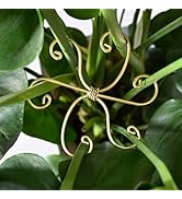 Small manufacture image 20