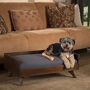 GDFStudio Mid-Century Acacia Wood Dog Bed with Water Resistant Cushion