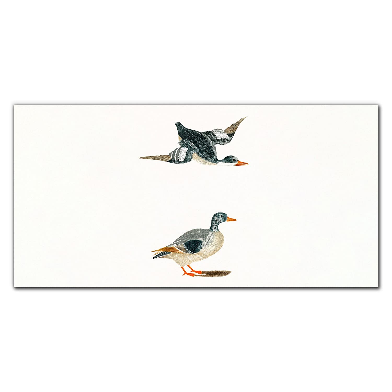 Crédence de cuisine en verre trempé dosseret haut de gamme canards 100x50
