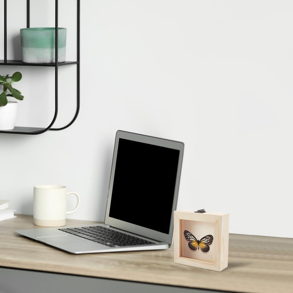 AHANDMAKER Espositore per insetti, cornice in legno con farfalle e ombre con piano in vetro trasparente, per raccogliere esemplari per visualizzare foto e insetti, 16 x 15 cm, bianco navajo