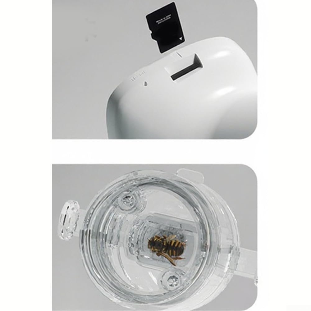 Microscopio Digitale 2.0" IPS Ricaricabile USB(Complete set)