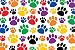 Teacher Created Resources Colorful Paw Prints Postcard (4799)