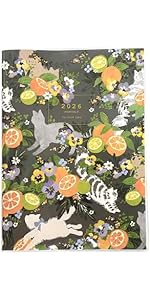 51bIS7Y7h5L.__AC_SR150,300___.jpg 51bIS7Y7h5L.__AC_SR150,300___.jpg