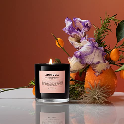 Ambrosia Boy Smells Candle | 50 Hour Long Burn | Coconut & Beeswax Blend | Luxury Scented Candles For Home (8.5 Oz) #TOP2
