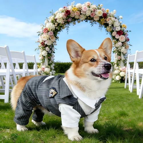 Disfraz de Smoking para Perros Medianos y Pequeños M miniatura 7