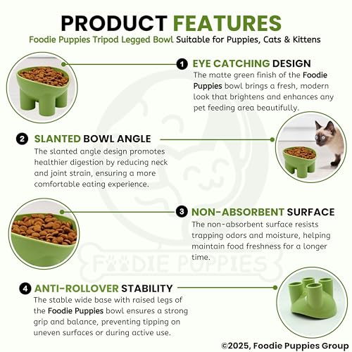 Image of Foodie Puppies Elevated Cat Feeding Bowl - (Tripod Legged Bowl) | Anti-Vomiting Raised Food and Water Feeder with Non-Skid Base | Suitable for Cats, Kittens and Puppies