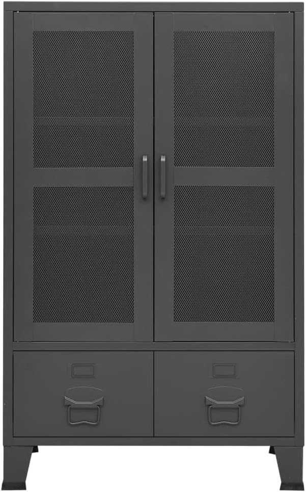 Anthracite Metal Storage Cabinet 27.6 x 15.7 x 45.3 in, Powder-Coated Steel Chest with Mesh Doors & Two Drawers, Compact for Living Room Bedroom Office