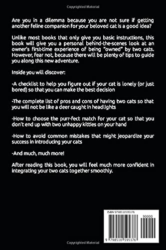 Be Owned by a 2nd Cat Action Plan for Thinking Cat Owners
