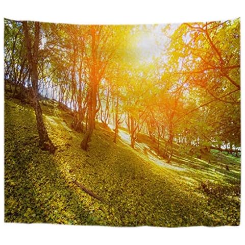 A.Monamour Tapiz de Pared Otoño Estación Brillante Sol Árboles Naranja Cover