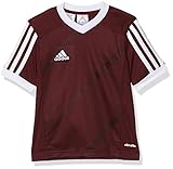 Optimales Feuchtigkeitsmanagement durch Climalite