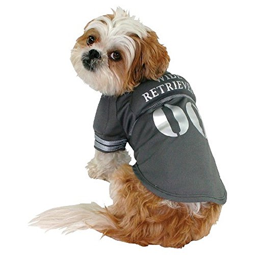 Disfraz Halloween Perro Wide Retriever XS
