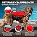 Outward Hound Dawson Swim Dog Life Jacket, High-Performance Neoprene Dog Life Vest for Swimming, Boating, and Water Safety, Small, Red