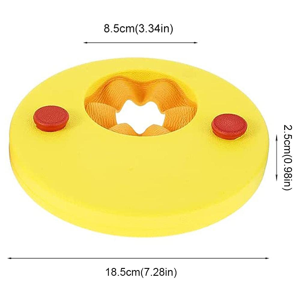 6PCS Arm Float Discs EVA Foam Float Discs for Kids, Children's arm Floating Plate with Swimming Float aid Discs (Rainbow Meteor)