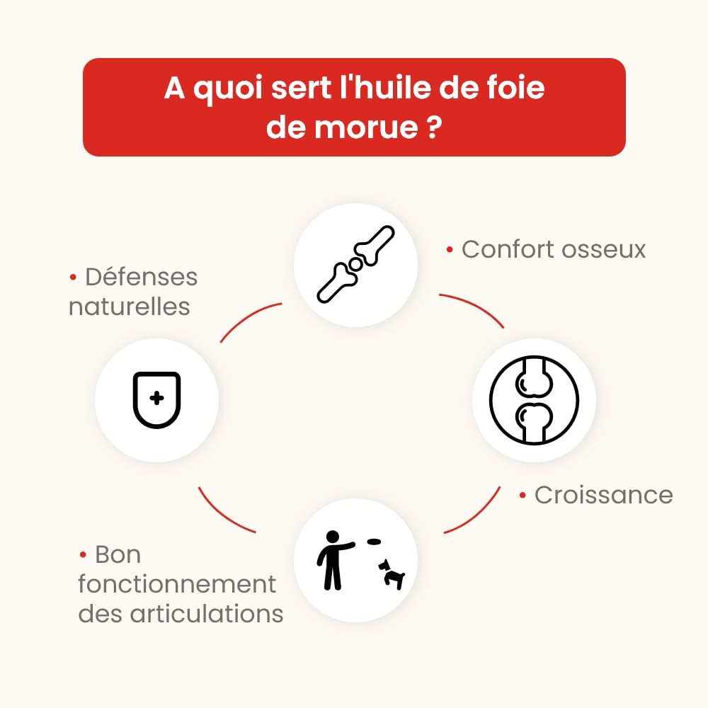 Huile de Foie de Morue 5 L - pour Chiens et Chats - Source de Vitamines A et D et d'Oméga 3 - Confort osseux et articulaire - Défenses immunitaires - Croissance - Développé en France