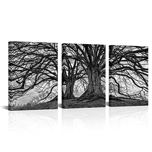Visual Art Decor 3 Pieces Black and White Tree Wall