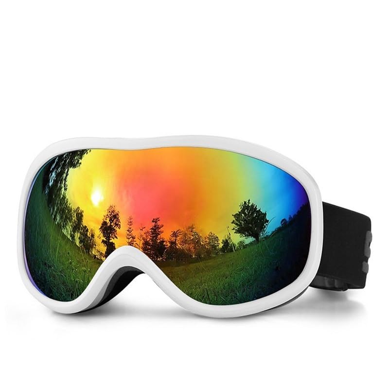 LZM-DIEWLEI Gafas de esquí resistentes al viento, para hombres y mujeres, de doble cubierta, antivaho, antirreflejos, protección UV (HX0436)