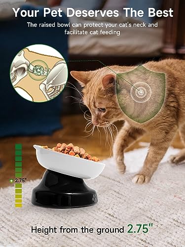 Y YHY Slow Feeder, Elevated Food Bowl Tilted Design for Dog and Cat for Dry and Wet Food - Image 6