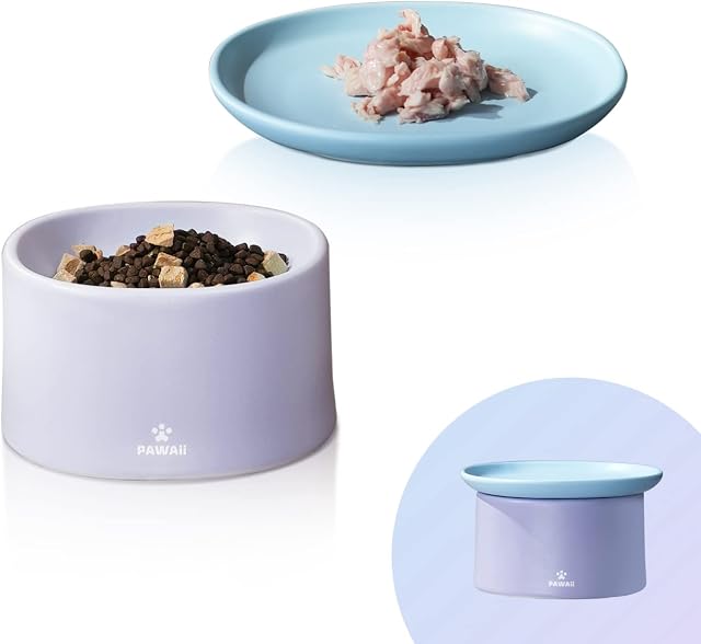 Pawaii Ceramic Cat Bowl, Combined Type Elevated Cat Bowl, Whisker Friendly Cat Bowl, Dishwasher and Microwave Safe, 1 Elevated Cat Bowl and 1 Dish