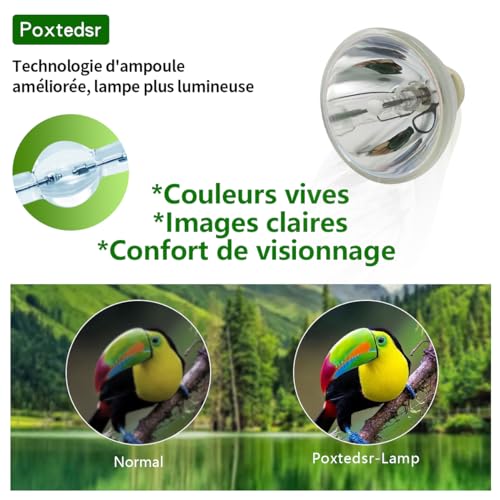 Poxtedsr P-VIP 210/0.8 E20.9N Ersatz Projektor Birne Lampe Kompatibel mit ACER BENQ OPTOMA VIEWSONIC 210W