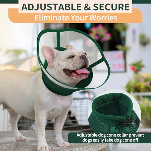 Image of Allroaring Dog Cone Alternative, Soft Dog Cones for Large Dogs, Green L | Adjustable Doggie Recovery Cone Collar Comfy Pet Elizabethan Collars to Stop Licking for Wound Healing Care Spay Neuter