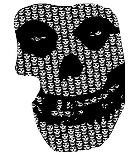 Misfits C&D Visionary Skull Blanket- Fleece
