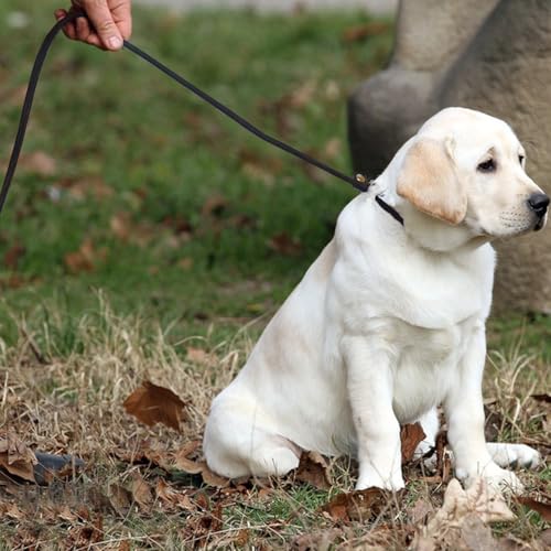 LWBMG Retrieverleine aus echtem Leder, verstellbare Hundetrainingsleine, weiches Echtleder für kleine Hunde, 1,7 m x 0,6 cm, Schwarz