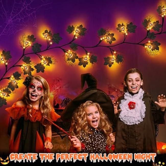 6 FT 54 LED Halloween Lights, 8 Modes & Timer Battery Operated Halloween Pumpkins Lights with Willow Vine Twig Garland, 3D Waterproof Decorations Lights for Indoor Outdoor Party Fireplace