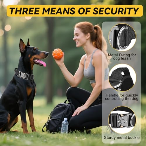 Viugex Taktisches Hundehalsband, Weich Gepolstertes Nylon Hunde Halsband, Langlebig, Premium-Qualität, Verstellbare Hundehalsbänder mit Metallschnalle für Mittlere Große Hunde (Schwarz, M)