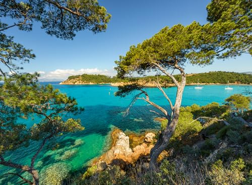 Puzzle 500 pièces Vue sur la mer Ravensburger France