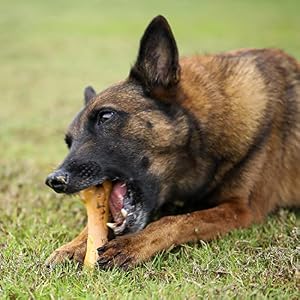Tikaton Dog Chew Toys for Aggressive Chewers, Chicken Flavor Durable Dog Teething Chew Toys Bones for Large/Medium/Small Puppies Tikaton Dog Chew Toys for Aggressive Chewers, Chicken Flavor Durable Dog Teething Chew Toys Bones for Large/Medium/Small Puppies
