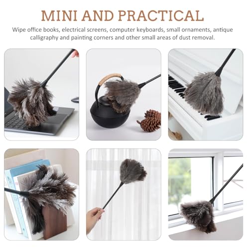 Image of iplusmile Ostrich Duster with Long Handle Lightweight Natural Cleaning Tool for Dusting Home Office Car Kitchen