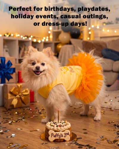 Image of CuteBone Yellow Happy Birthday Pet Tutu Dress - Crown Puppy Birthday Costume - Small Dog Clothes Cat Princess Party Outfit SRQ02L