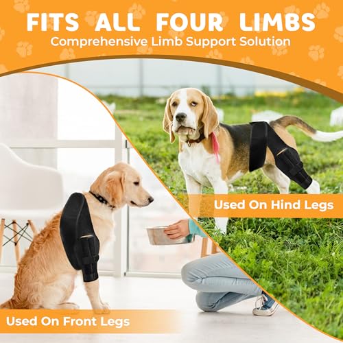 Image of New Dog Knee Brace for Luxating Patella, ACL or Cruciate Ligament Injury Recovery, Osteoarthritis, Hip Dysplasia, or Arthritis Pain Relief, Flexible Spring Support (Medium)
