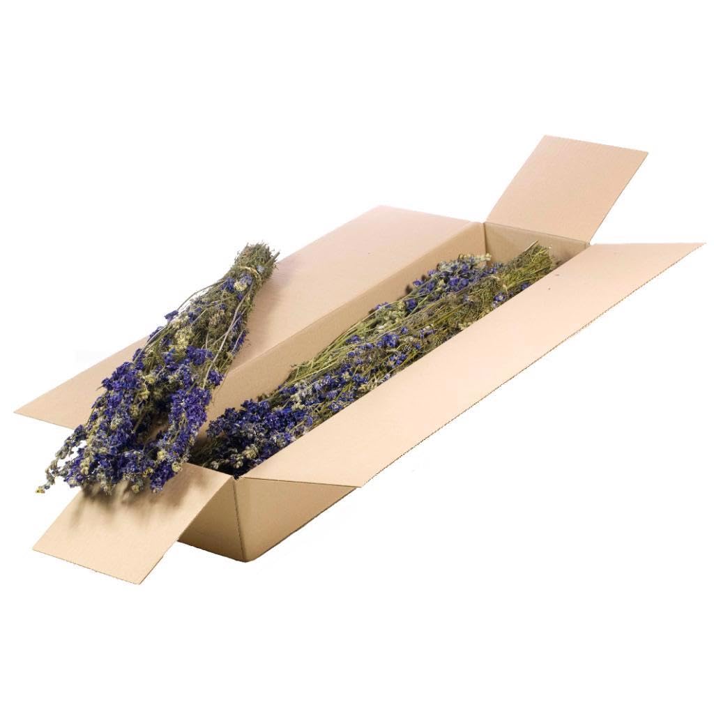 Delphinium bleu en lot de 25 tiges pour compositions florales
