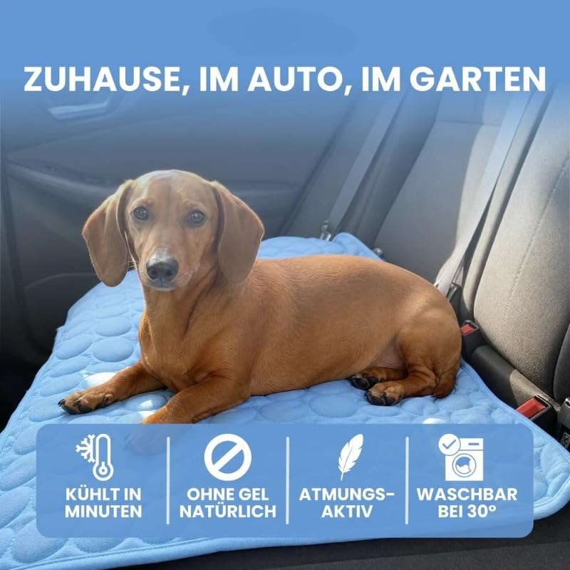 AILISK FellStern Kühlmatte
