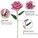 Suturun Gold Dipped Rose,24K Gold Rose with Transparent Stand,Real Long Stem Eternity Rose Flower Best for Her,Mom,Wife,Girlfriend,Anniversary,Mothers Day,Birthday,Valentine's,Wedding