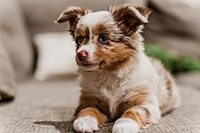 Review Image by Jason D. Neel Jason D. Neel