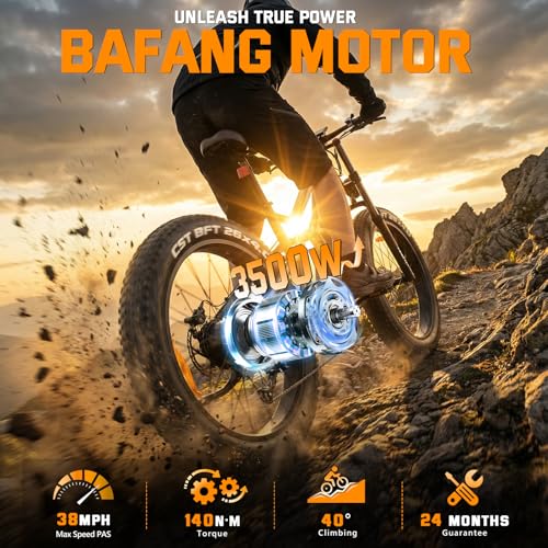 Folding Electric Bike for Adults