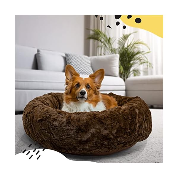 Best Friends by Sheri The Original Calming Donut Cat and Dog Bed in Lux Fur Dark Chocolate Medium 30×30 Best Friends by Sheri The Original Calming Donut Cat and Dog Bed in Lux Fur Dark Chocolate Medium 30×30
