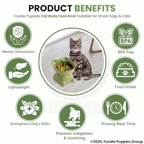 Image of Foodie Puppies Cat Tilted Food and Water Feeder (CatBody Face Bowl, Pack of 2) | Durable, Anti Vomiting, Healthy Cat Bowl for Persian Cat Prevent Tipping Over | Elevated Feeder for Cats and Small Dogs